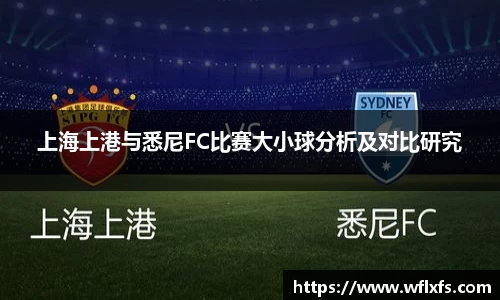 上海上港与悉尼FC比赛大小球分析及对比研究